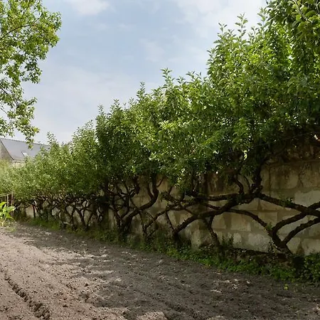 Bed & Breakfast D'hotes Des Grands Moulins De